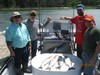 (05/16/2015) - Nice Striped Bass